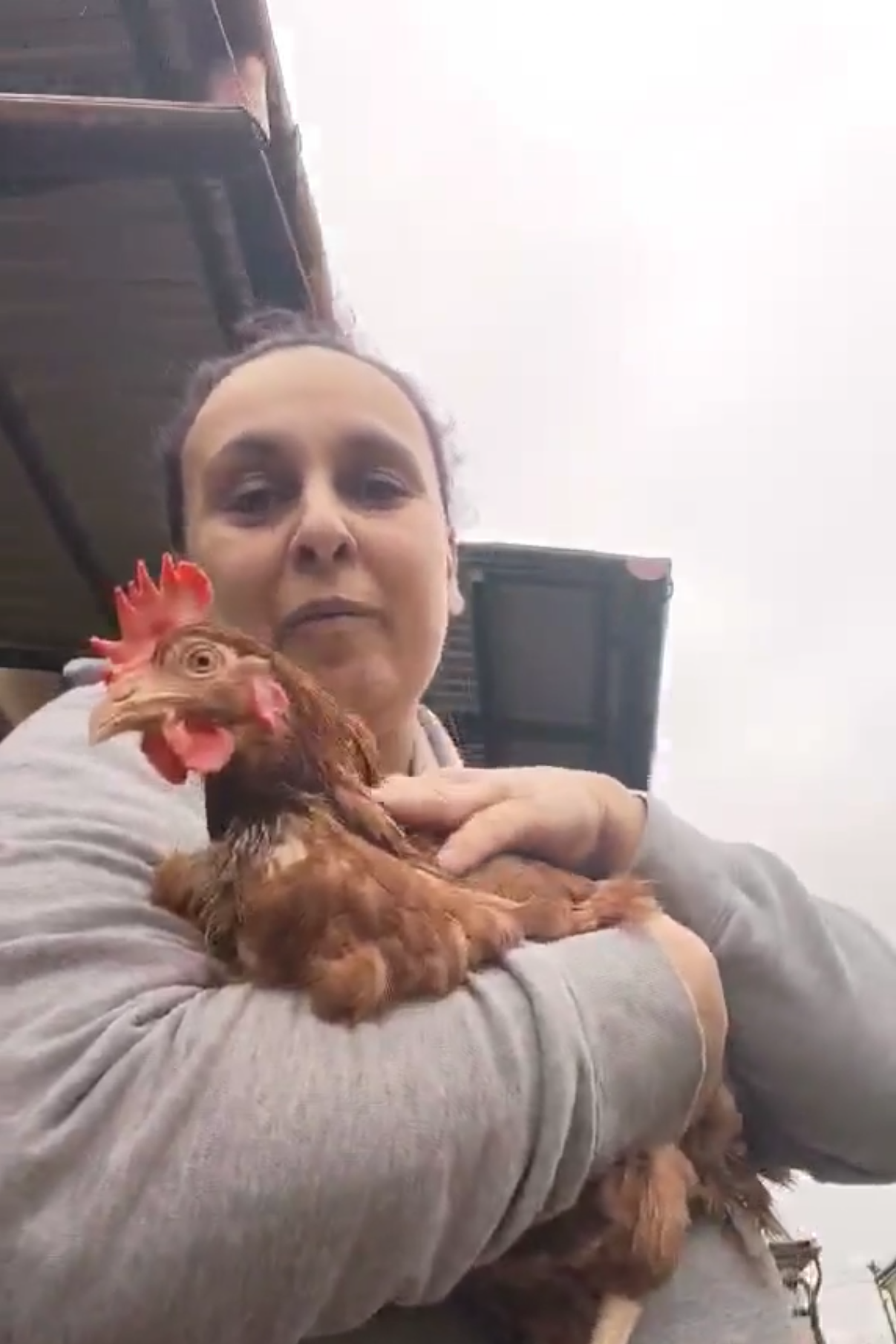 Szabina - Zalakomár